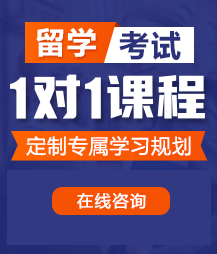 大鸡巴插进骚逼啊啊啊链接留学考试一对一精品课